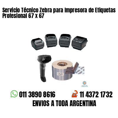 Servicio Técnico Zebra para Impresora de Etiquetas Profesional 67 x 67