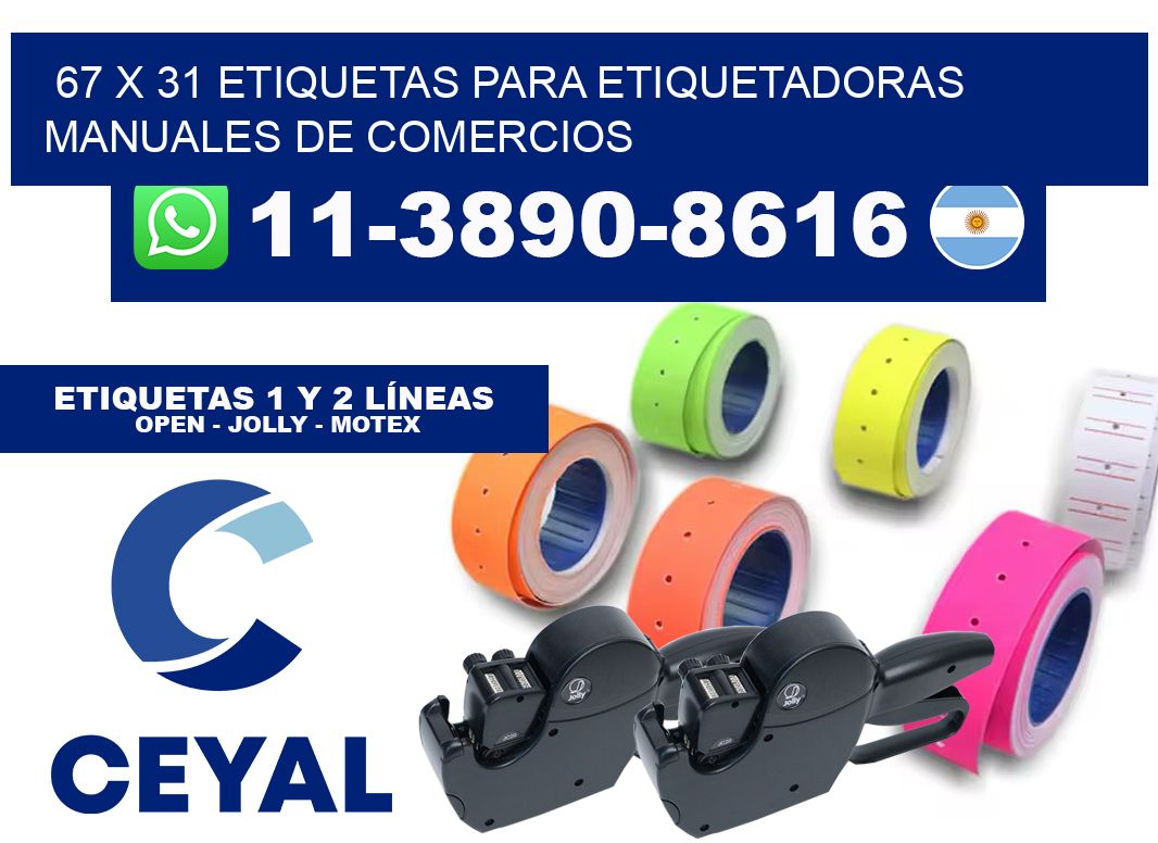 67 x 31 etiquetas para etiquetadoras manuales de comercios
