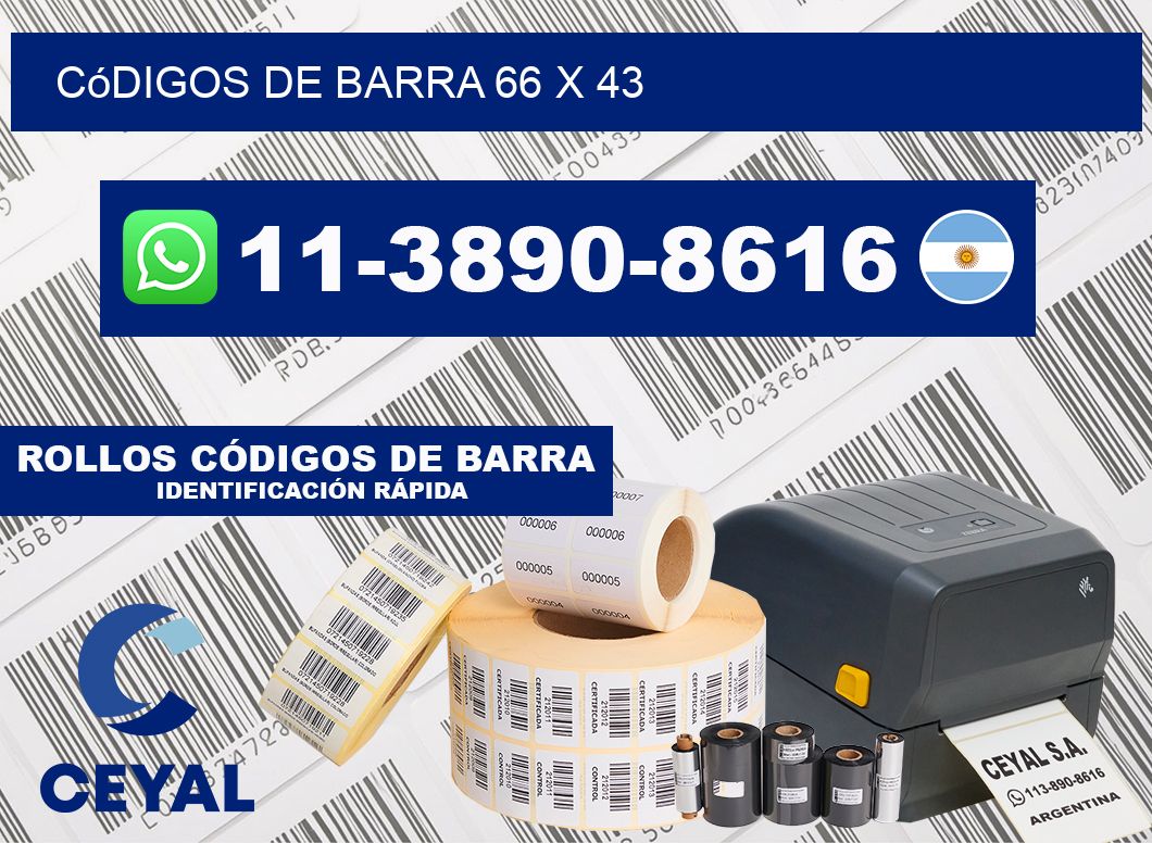 códigos de barra 66 x 43